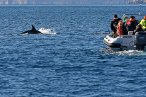 Algarve_18