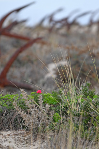 Algarve_37