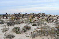 Algarve_38