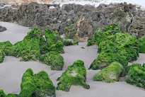 Algarve_45