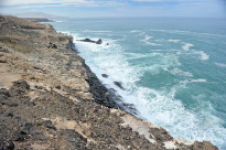 Fuerteventura_14