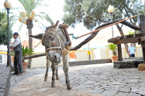 Fuerteventura_21
