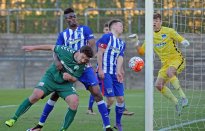 Hertha15