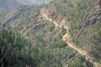 GranCanaria_20