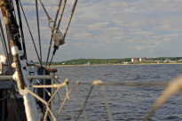 Greif_08