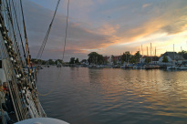 Greif_11