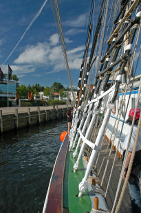 Greif_15