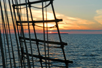 Greif_23