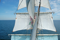 Greif_24