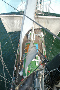 Greif_25