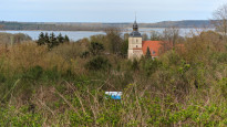Usedom24
