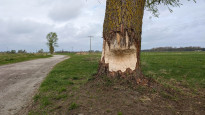 Usedom27