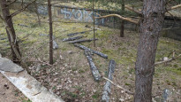 Usedom31