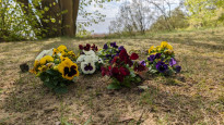 Usedom34