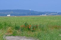 Hiddensee_002