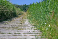 Hiddensee_003