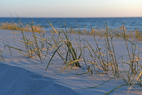 Hiddensee_011