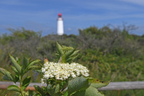 Hiddensee_020