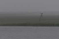 Hiddensee_025