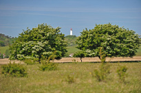Hiddensee_031