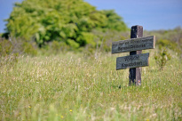 Hiddensee_036