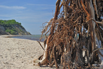Hiddensee_038