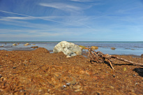 Hiddensee_039