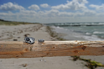 Hiddensee_049