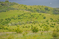 Hiddensee_051