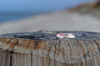 Hiddensee_054