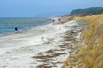 Hiddensee_056