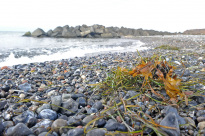 Hiddensee_067