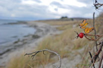 Hiddensee_068