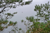 Hiddensee_081