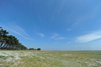Hiddensee_097