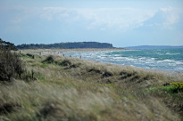 Hiddensee_101
