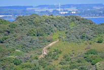Hiddensee_118