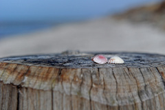 Hiddensee_054