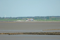 Husum_11