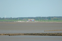 Husum_11