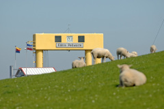 Husum_17
