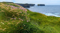 Irland17