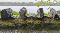 Irland44