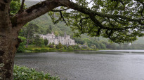 Irland45