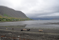 Island_013