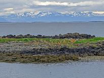 Island_026