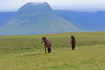 Island_047
