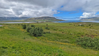 Island_055