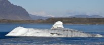 Island_107