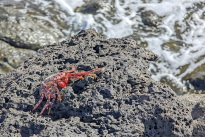 Lanzarote_82